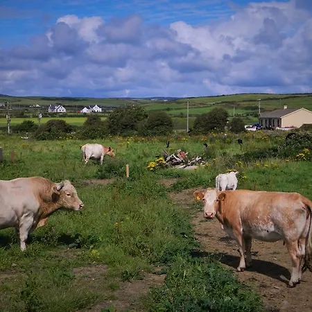 Värdshus House Doolin